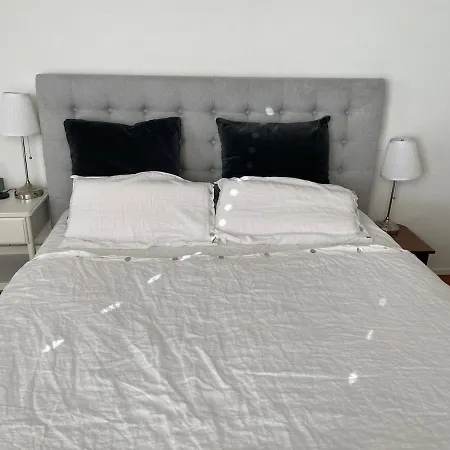 Mountain View Luxury Up To Four Persons Apartmán Diepoldsau