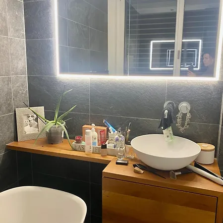 Mountain View Luxury Up To Four Persons Diepoldsau