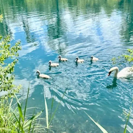 Mountain View Luxury Up To Four Persons *