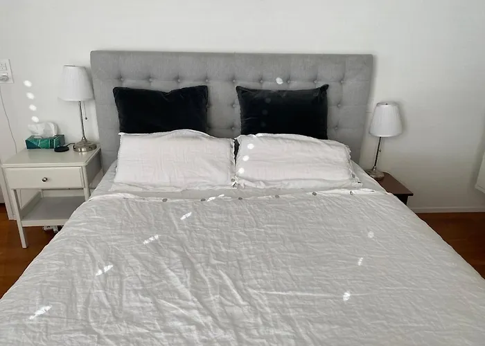 Mountain View Luxury Up To Four Persons Apartment Diepoldsau