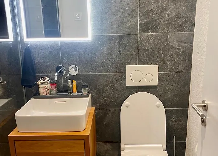 Mountain View Luxury Up To Four Persons Lejlighed Diepoldsau