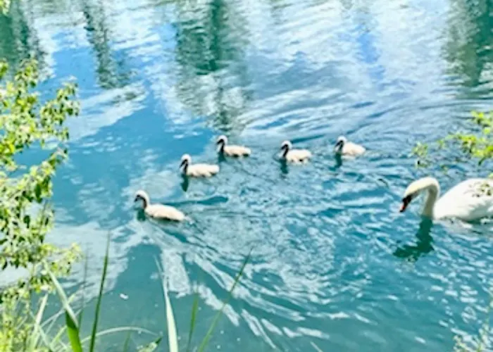 Mountain View Luxury Up To Four Persons *