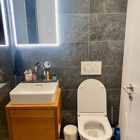 Mountain View Luxury Up To Four Persons Apartamento Diepoldsau